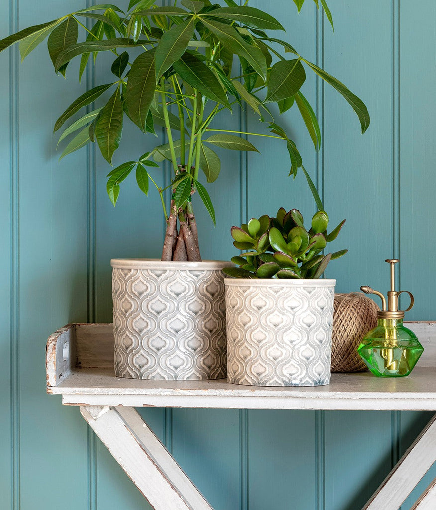 Large and small venetian glazed indoor pots with plants standing on white wooden shelf next to ball of twine and green glass mister against blue background