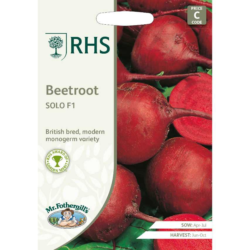 Beetroot Solo F1 seeds