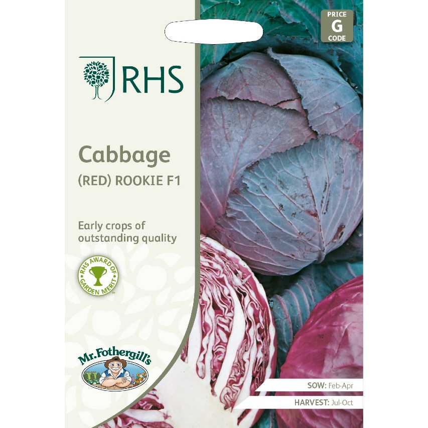 Cabbage red Rookie F1 seeds