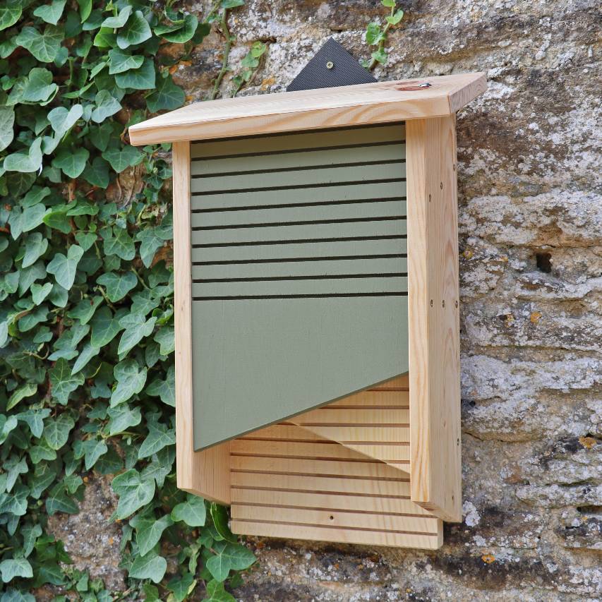 Conservation bat box attached to stone wall with ivy