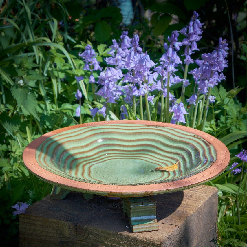 Echoes ceramic bird bath on glazed mounting feet next to bluebells 