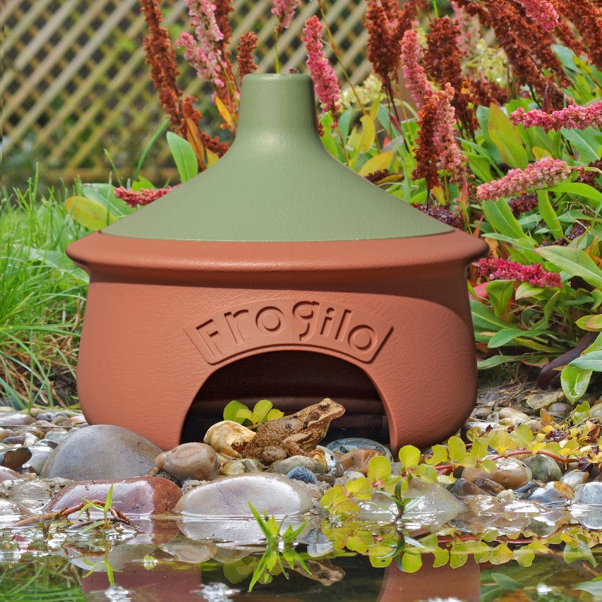 Frog house on pebbles next to pond with frog sitting in entrance