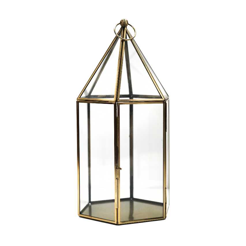 Glass terrarium in antique brass