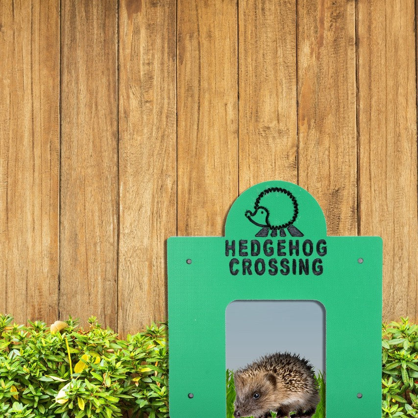Hedgehog tunnel under fence