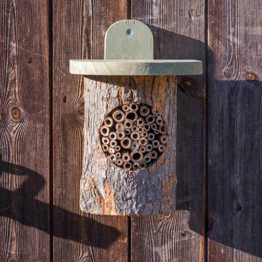 Natural log bee home attached to wooden fence