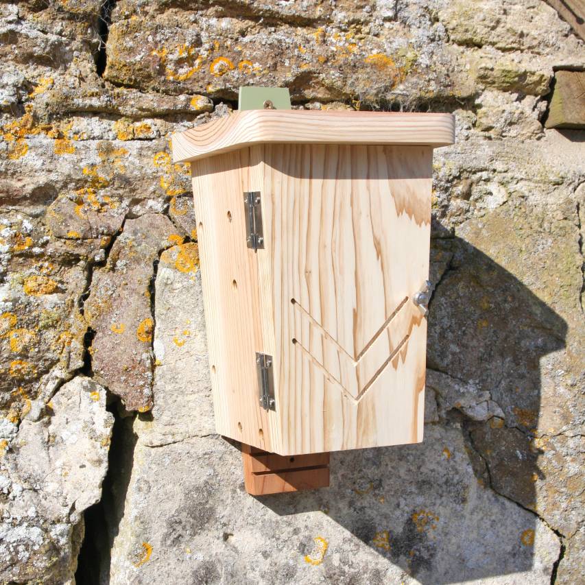 Original bat box attached to stone wall