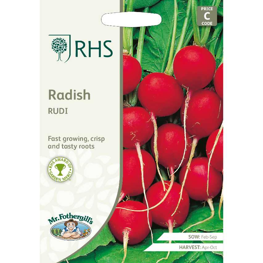 Radish Rudi seeds