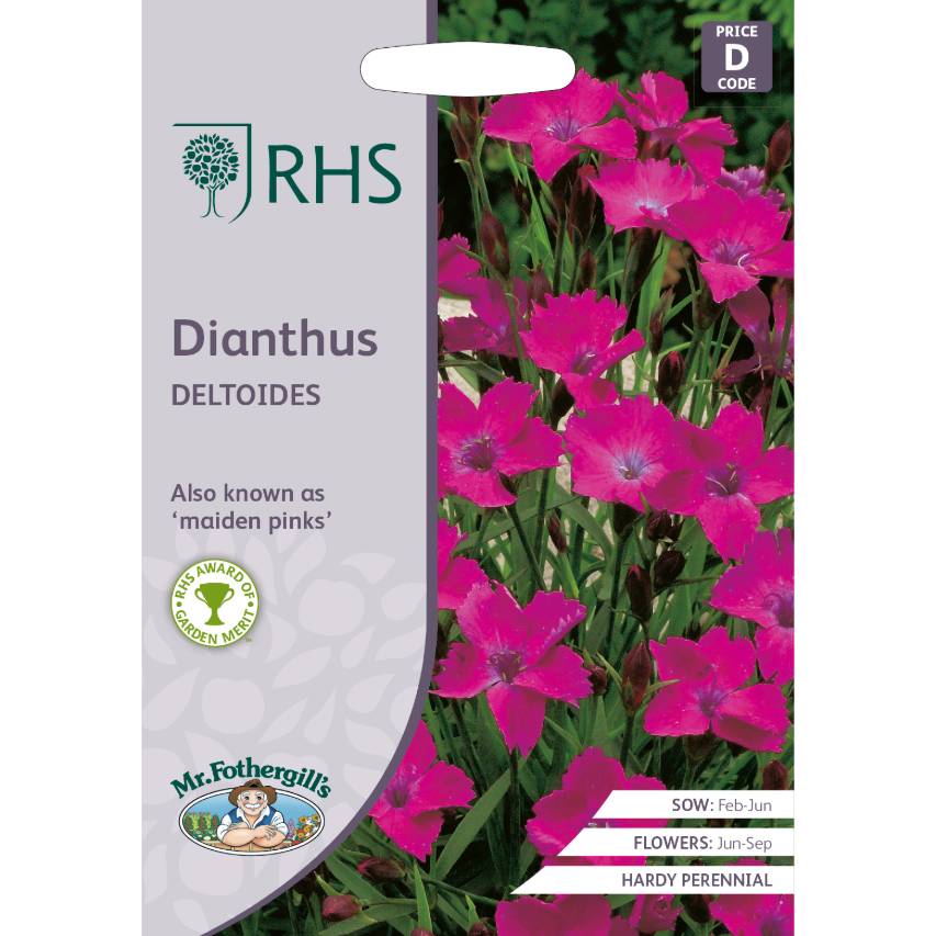 RHS dianthus 'Deltoides' seeds