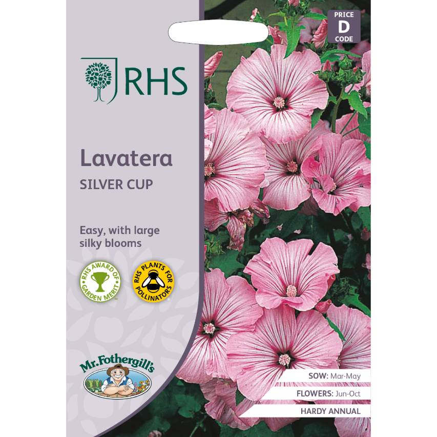 RHS lavatera 'Silver Cup' seeds