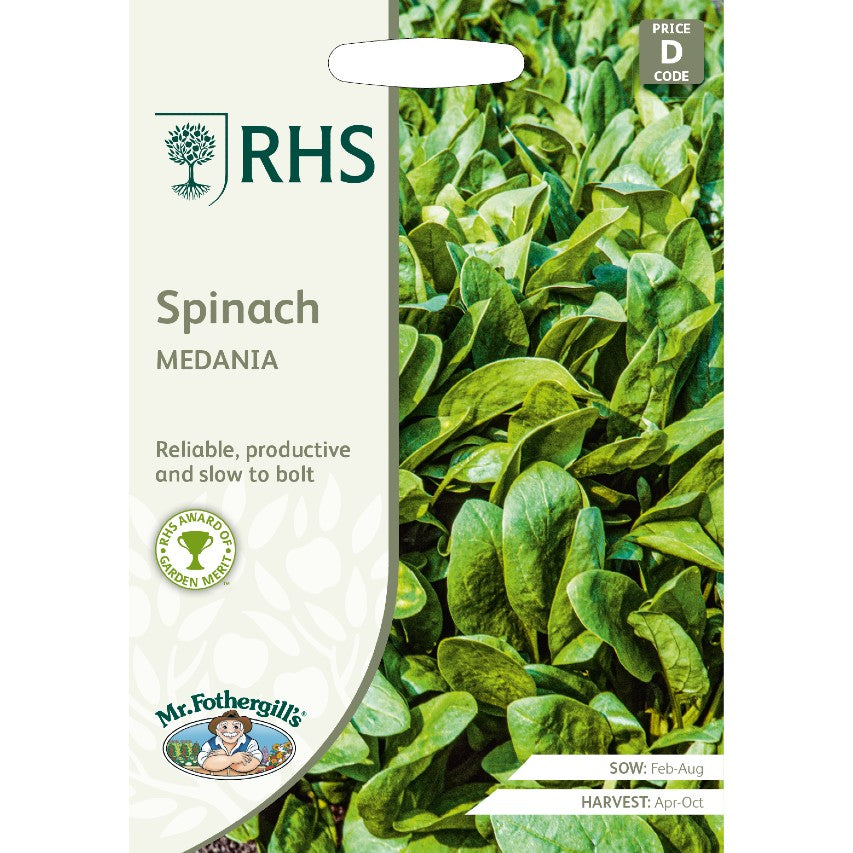 Spinach Medania seeds