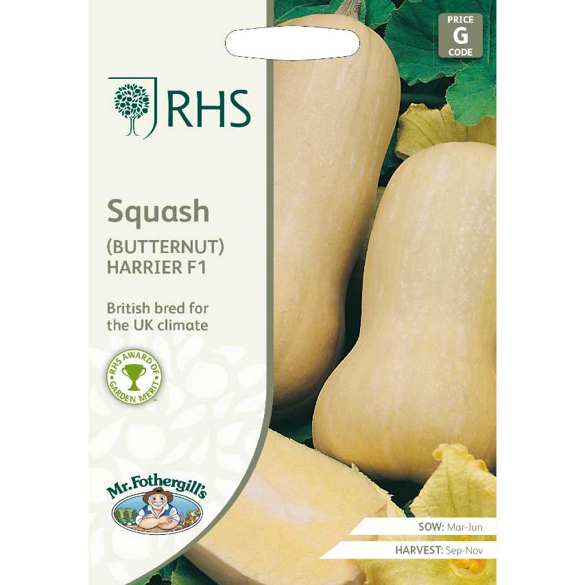 Squash (butternut) 'Harrier' F1 seeds