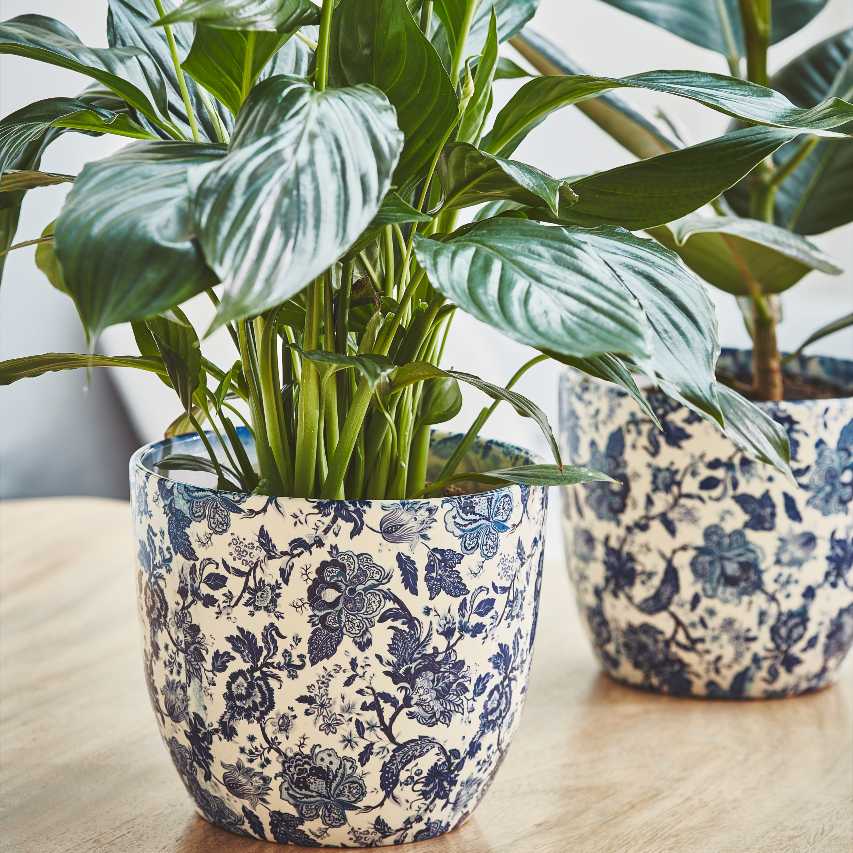 vintage indoor plant pots uk Vintage floral print plant pot blue
