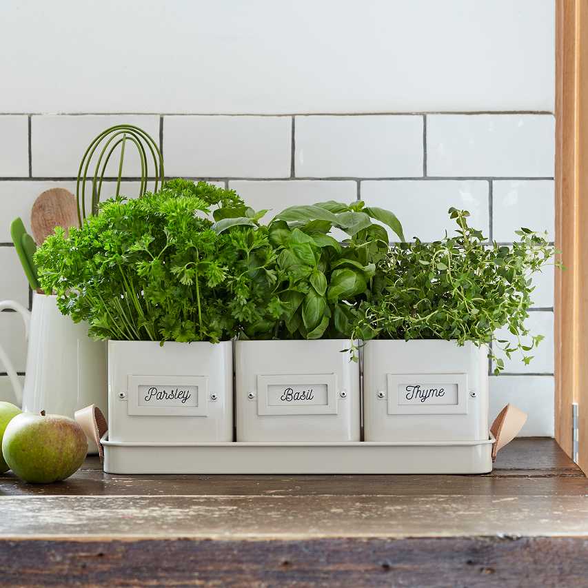 windowsill planter indoor uk Windowsill herb planter
