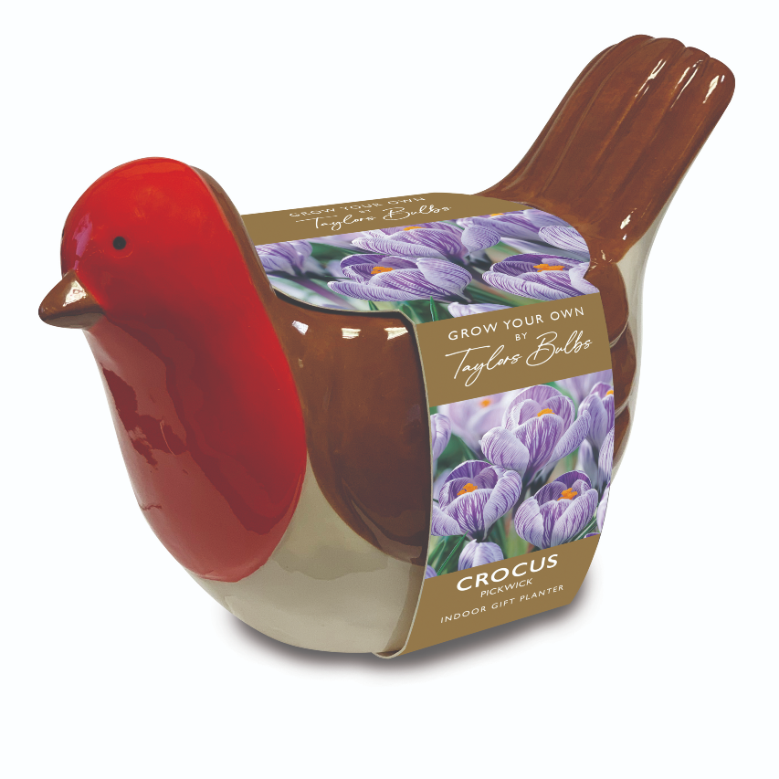 Robin Gift Set Robin Gift Set - Verdant