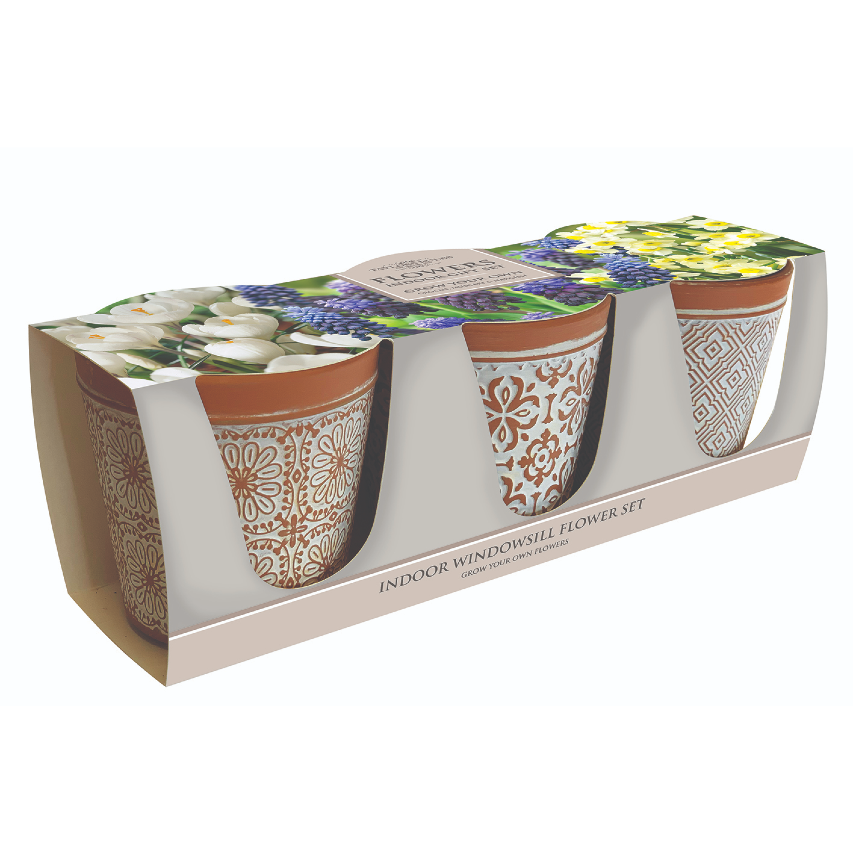 Indoor spring flower trio