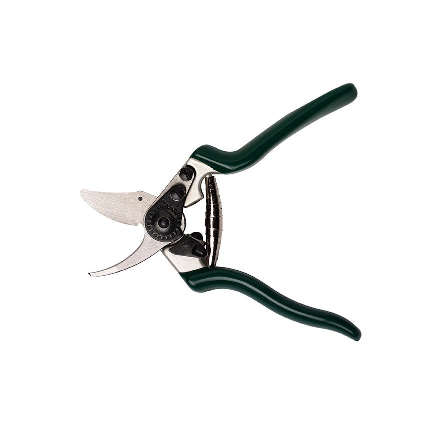 Burgon and Ball RHS professional compact bypass secateurs