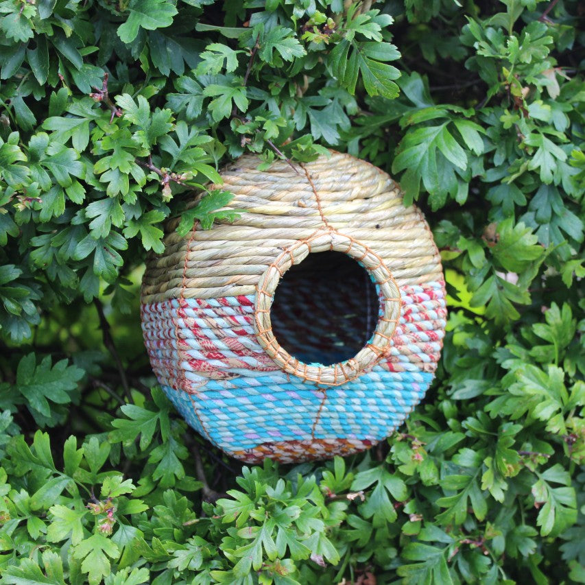 Frontview of Anita Artisan bird nester amongst hawthorn leaves