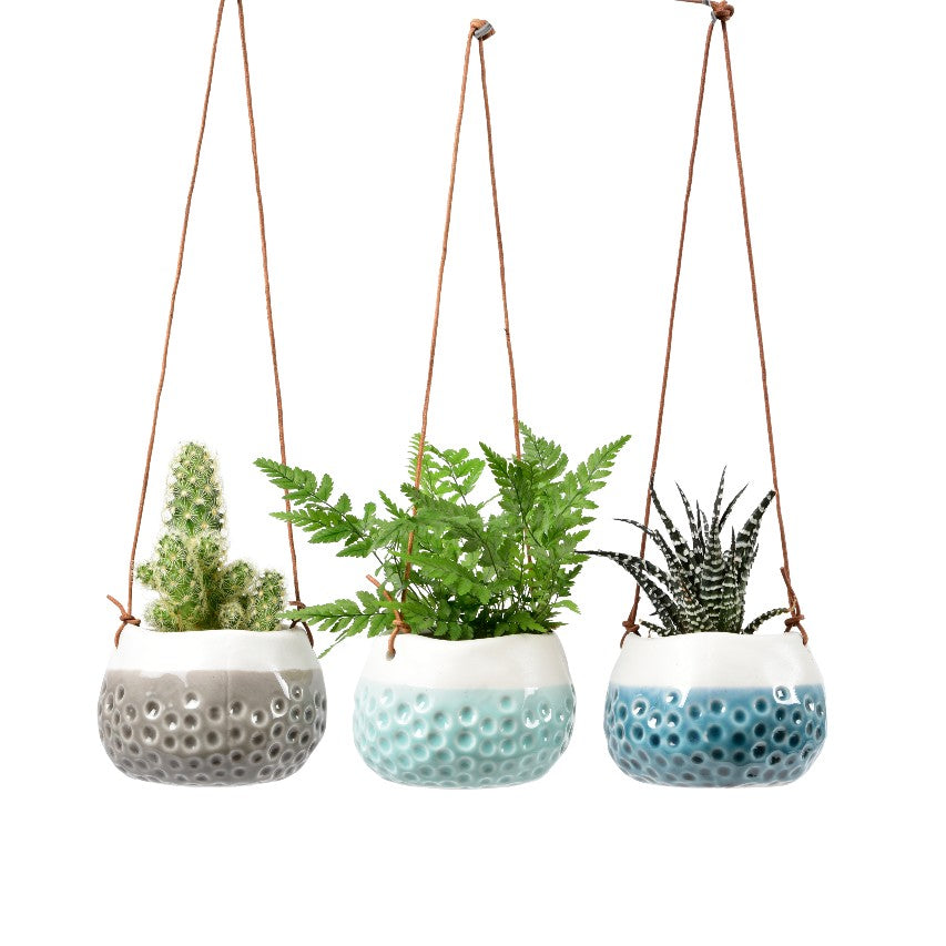 Burgon and Ball trio of 'Baby Dotty' hanging pots with cactus, fern and succulent