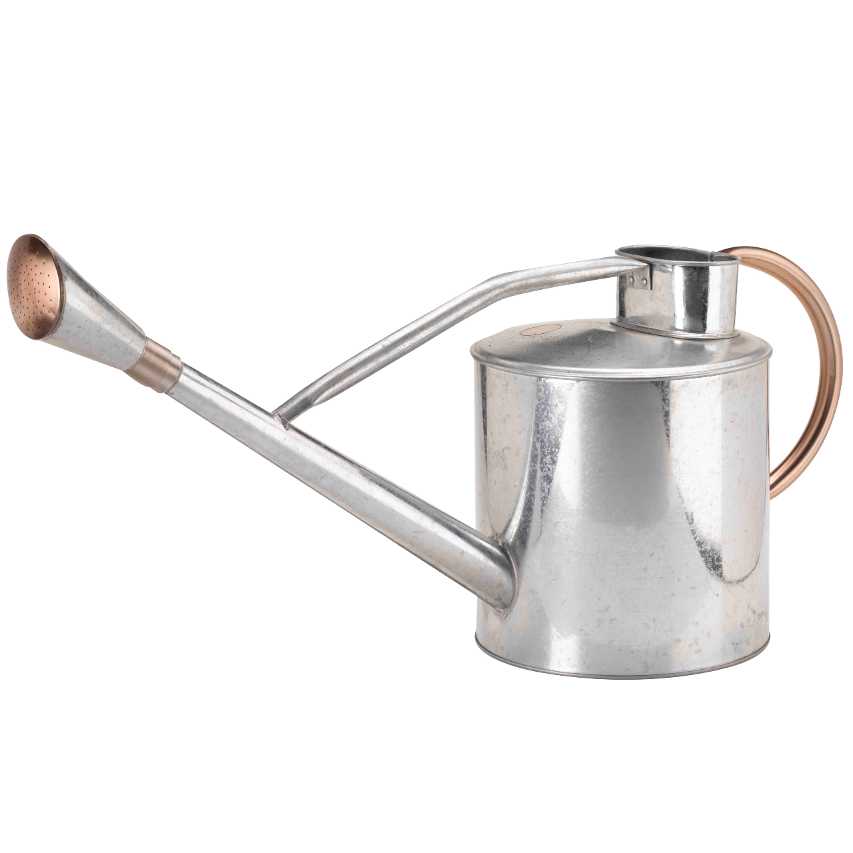 Traditional galvanised steel long reach watering can with copper trims