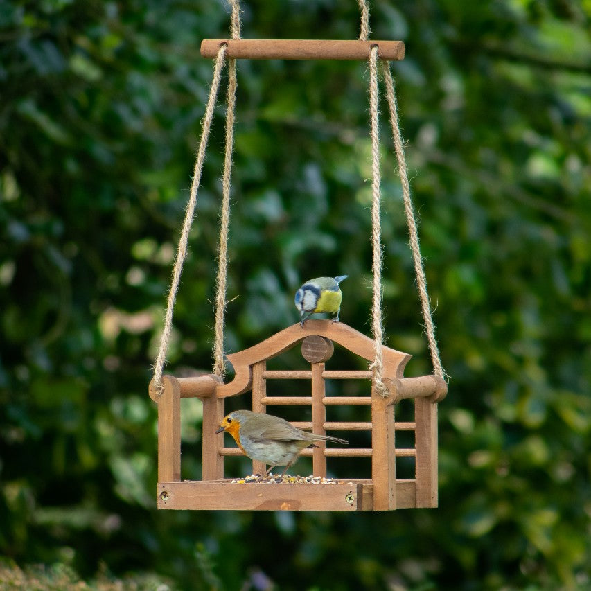 Lutyens swing seat feeder with robin and blue tit