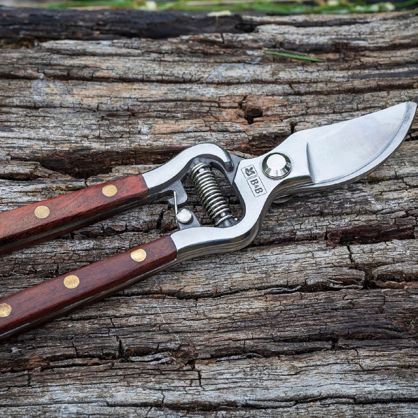 National Trust Burgon and Ball secateurs on piece of wood