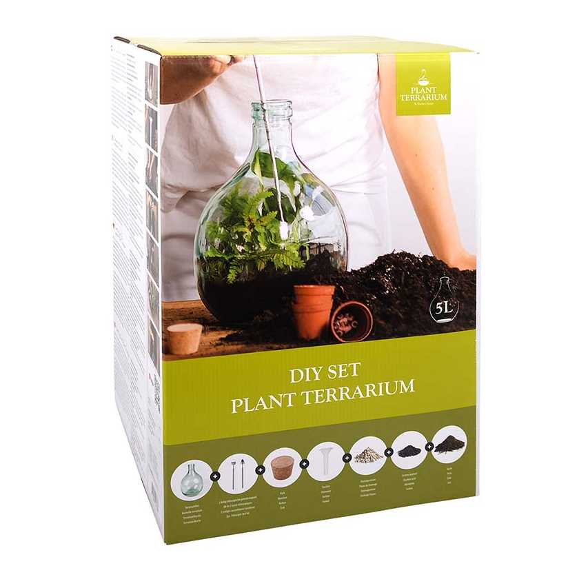 DIY set terrarium bottle - 5 litre