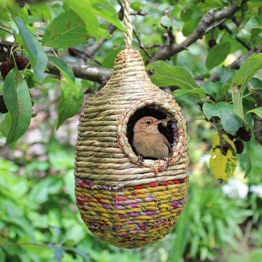 Shesali Artisan bird nester hanging from tree with wren perched in entrance
