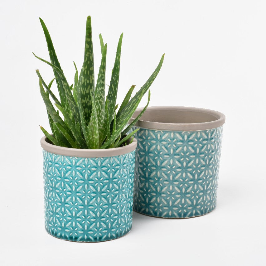 Blue Tuscany glazed pots - small and large with succulent growing in small pot