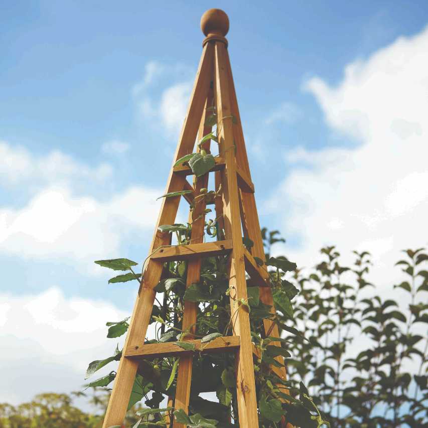 Woodland obelisk tan 1.9m with climber